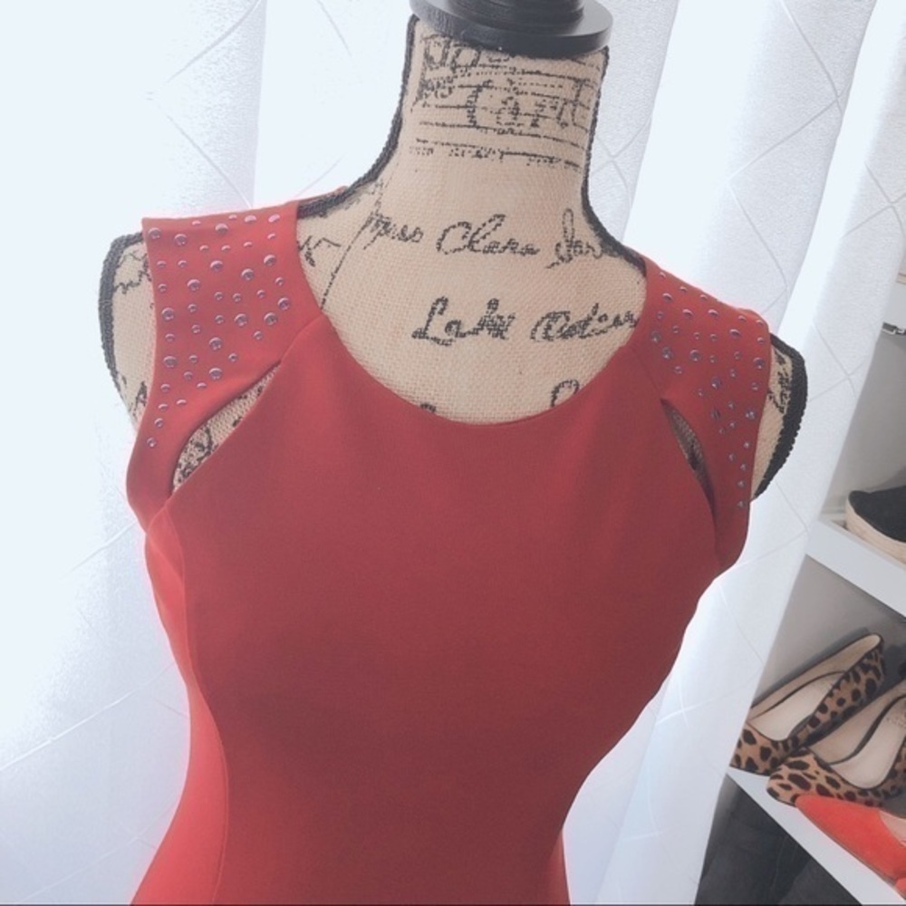 BB Dakota dress - Picture 3 of 7